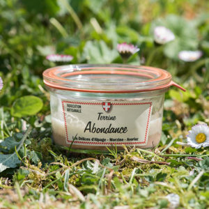 Delices alpage Terrine abondance 2