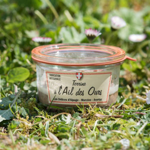 Delices alpage Terrine ail des ours