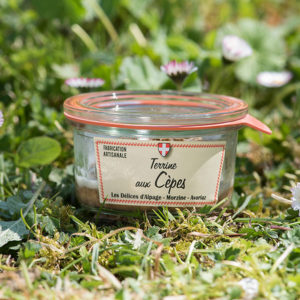 Delices alpage Terrine cepes