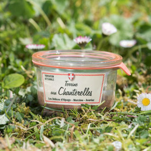 Delices alpage Terrine chanterelles