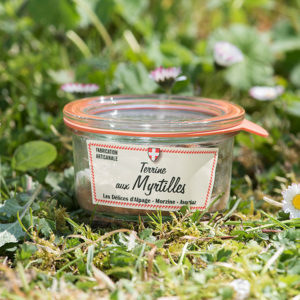 Delices alpage Terrine myrtilles